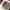 New Era Casual Hat Pria white photo 3