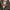 Lafuma Gorpcore Sportswear Windbreaker Pria green photo 6