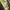 Lafuma Gorpcore Sportswear Windbreaker Pria green photo 7