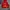 MLB Minimalist Hoody Pria red photo 1