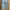 Moncler Luxury Sweatshirt Pria gray photo 1