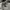 Avirex Streetwear Trench coat Pria multicolor photo 3