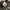 Avirex Streetwear Trench coat Pria multicolor photo 6