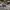Avirex Streetwear Trench coat Pria multicolor photo 5