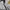 Jean-Michel Basquiat Streetwear Sportswear Polo shirt Pria multicolor photo 2