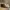 Rick Owens Luxury Sneakers Pria gray photo 4