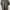 Hush Puppies Casual Polo shirt Pria gray photo 1