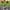 Nike Avant Garde Sneakers Pria multicolor burgundy photo 7