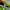 Nike Avant Garde Sneakers Pria multicolor burgundy photo 3