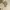 Japanese brand Vintage Luxury Blouse Wanita tan photo 1