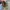 Vans Streetwear Skater Sneakers Pria multicolor green photo 3