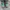 Vans Streetwear Skater Sneakers Pria multicolor green photo 8
