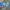 Vans Streetwear Skater Sneakers Pria multicolor green photo 7