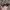Vintage Y2K Sunglass Wanita purple brown photo 1