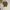 Japanese brand Luxury Minimalist Blouse Wanita brown photo 1