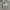 New Balance Vintage Y2K Sneakers Pria white gray photo 3