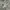 New Balance Vintage Y2K Sneakers Pria white gray photo 2