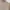 ASOS Streetwear Casual Sweater Wanita gold brown photo 3