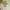 Japanese brand Luxury Pakaian Nasional Blouse Wanita green photo 1