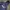 Puma Casual Hoody Pria navy photo 1