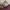 Japanese brand Vintage Luxury Blouse Wanita burgundy photo 4