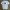 Le Coq Sportif Minimalist Casual T-shirt Pria white photo 1