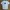 Le Coq Sportif Minimalist Casual T-shirt Pria White