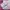 Onitsuka Tiger Streetwear Casual Sneakers Wanita white pink photo 2