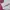Onitsuka Tiger Streetwear Casual Sneakers Wanita cream pink photo 2