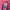 Polo Ralph Lauren Casual Polo shirt Pria pink red photo 7