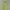 Sportswear Jersey Pria green photo 1