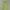 Sportswear Jersey Pria Green
