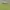 Sportswear Jersey Pria green photo 4