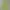 Sportswear Jersey Pria green photo 2