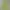 Sportswear Jersey Pria Green