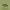 Sportswear Jersey Pria green photo 5