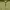 Sportswear Jersey Pria green photo 6