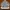 Tommy Hilfiger Streetwear Y2K Hoody Pria multicolor photo 2