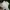 MLB Vintage Y2K Hat Pria white photo 4