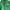 Supreme Streetwear Hoody Pria green photo 2