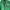 Supreme Streetwear Hoody Pria Green