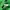 Supreme Streetwear Hoody Pria green photo 8