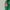 Supreme Streetwear Hoody Pria green photo 4