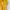 Streetwear Casual Pea coat Wanita yellow photo 4