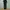 Uniqlo Minimalist Casual Casual pants Pria black photo 3