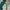 Uniqlo Streetwear Y2K Windbreaker Pria green photo 1