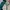 Uniqlo Streetwear Y2K Windbreaker Pria Green