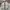 Uniqlo Streetwear Y2K Windbreaker Pria green photo 5