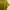 Uniqlo Casual Midi dress Wanita green yellow photo 2