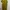 Uniqlo Casual Midi dress Wanita green yellow photo 4